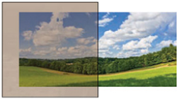 Bronze window glass color option