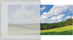 Satin window glass color option